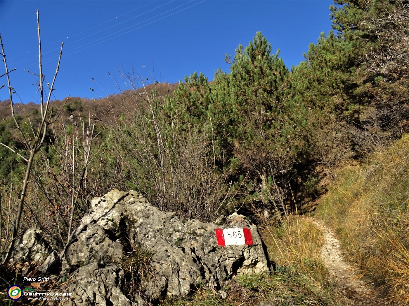 30 Il sent. 505 ora attraversa la 'Mughera' versante montuoso carico di pini mughi .JPG